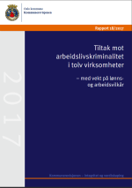 Tiltak mot arbeidslivskriminalitet i tolv virksomheter - med vekt på lønns- og arbeidsvilkår
